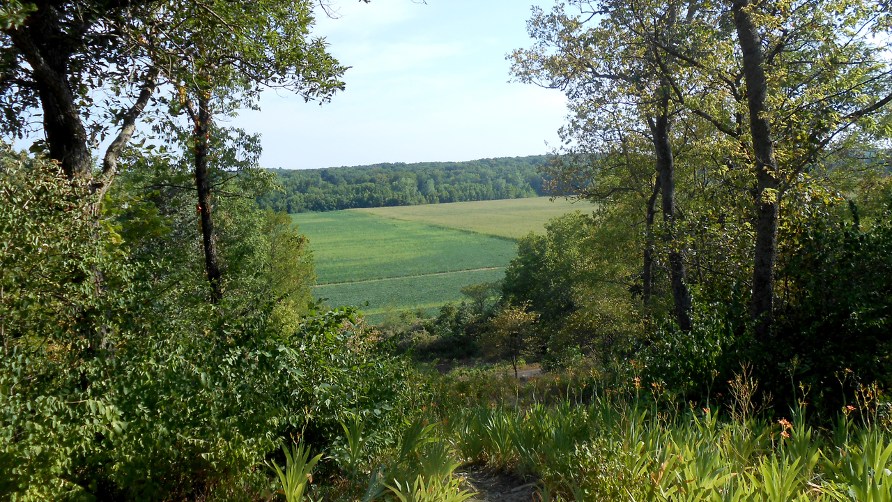 Adam-ondi-Ahman Temple Adam-ondi-Ahman Temple